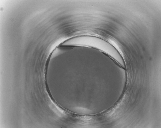 X0000088431141200705291518