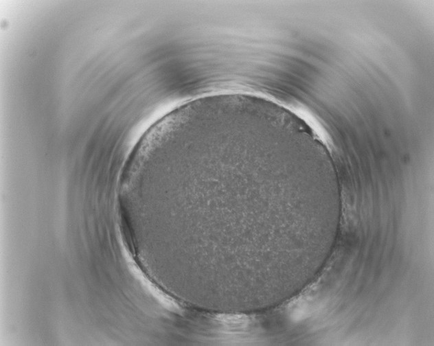 X0000088431142200705291518