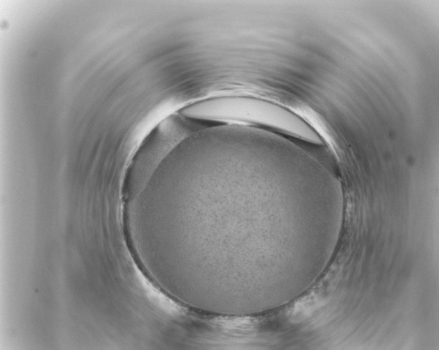 X0000088431143200705291518