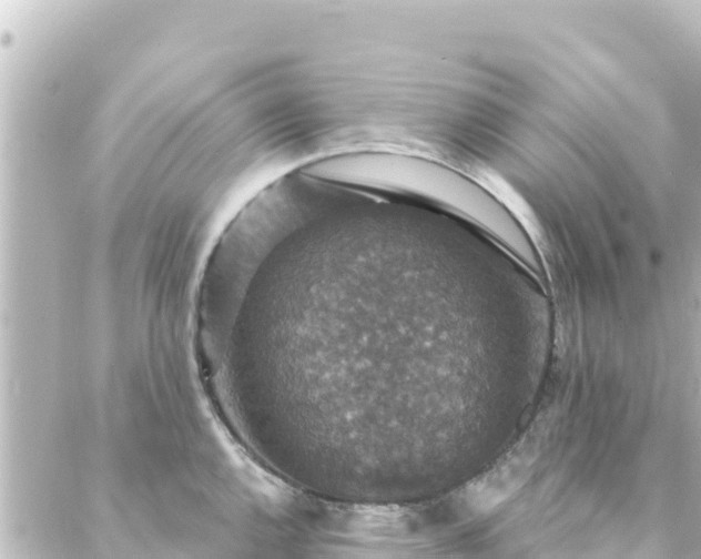 X0000088431144200705291518