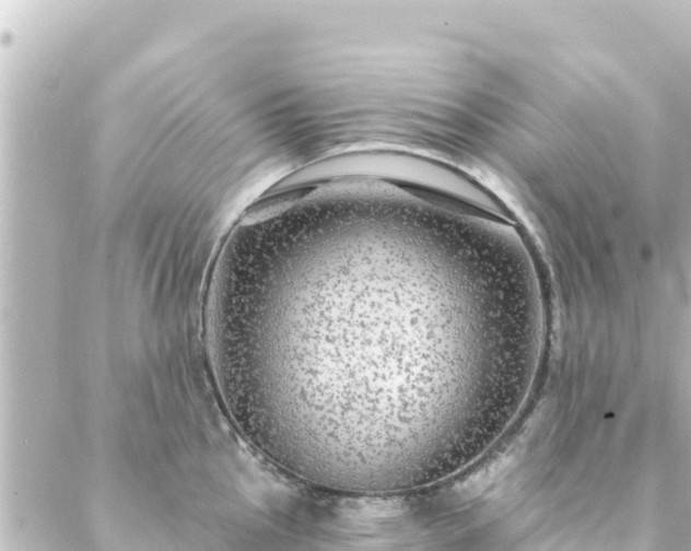 X0000088431145200705291518