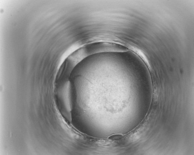 X0000088431146200705291518