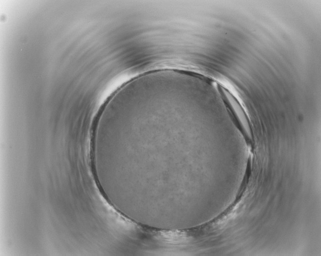 X0000088431147200705291518