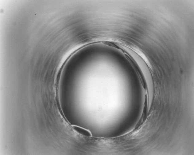 X0000088431148200705291518