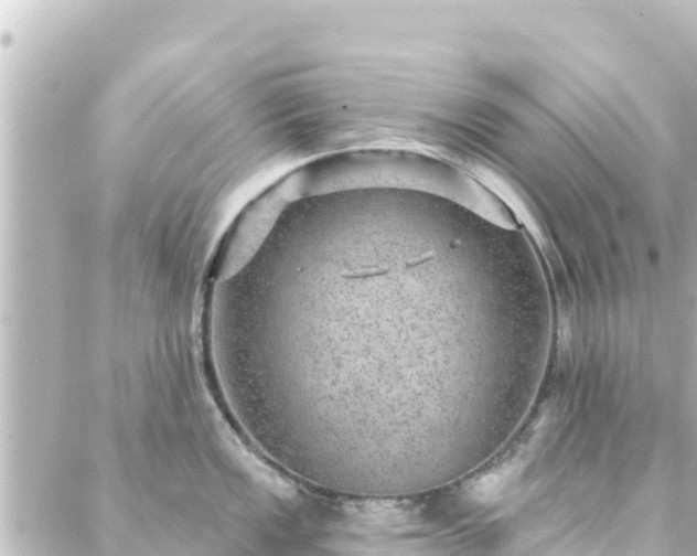 X0000088431149200705291518