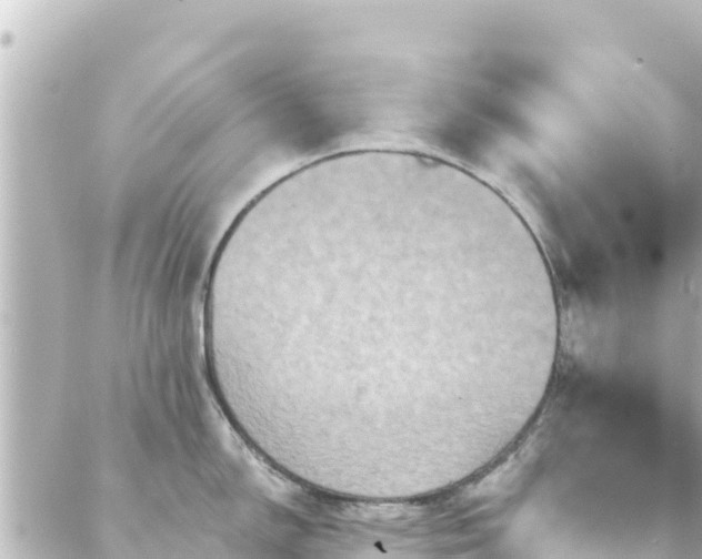 X0000088431150200705291518