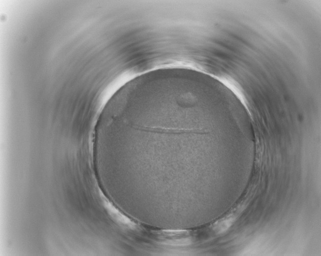 X0000088431151200705291518