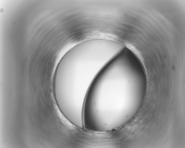 X0000088431152200705291519