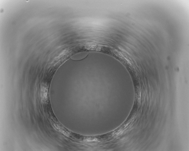 X0000088431154200705291518