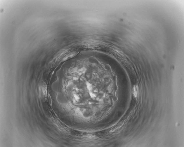 X0000088431155200705291518