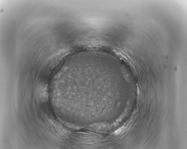 X0000088431156200705291518