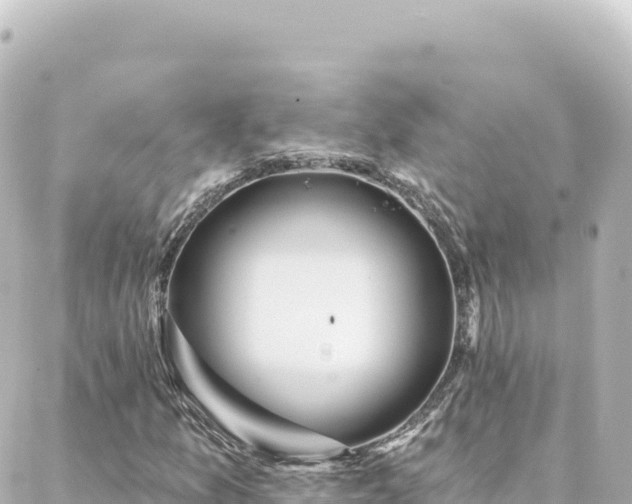 X0000088431157200705291518