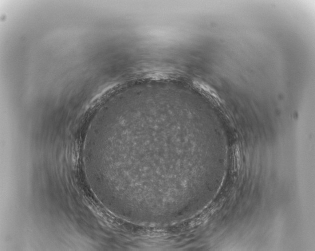 X0000088431158200705291518