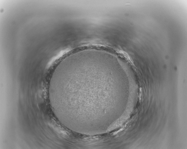 X0000088431159200705291518