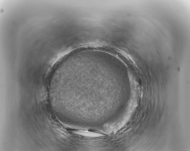 X0000088431160200705291518