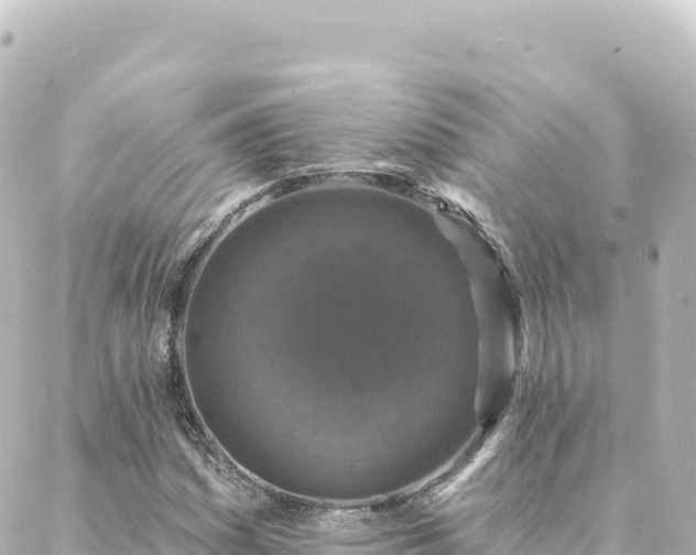 X0000088431161200705291518