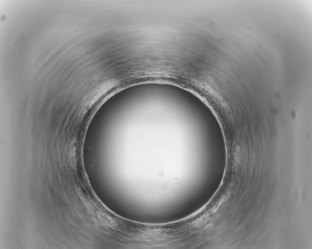 X0000088431162200705291518