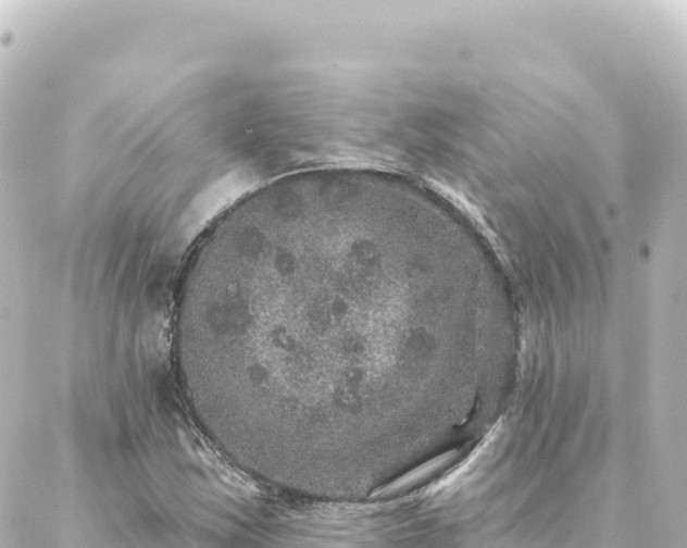 X0000088431163200705291518