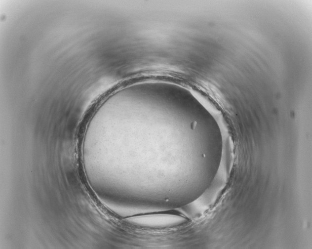 X0000088431164200705291518