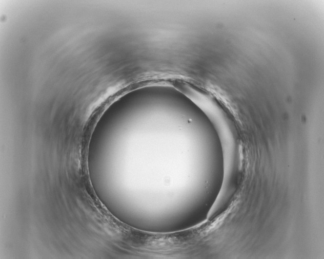 X0000088431165200705291518