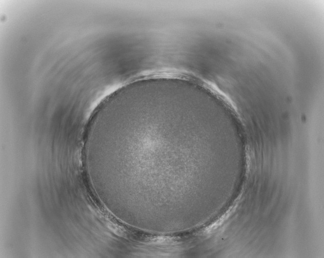 X0000088431166200705291518