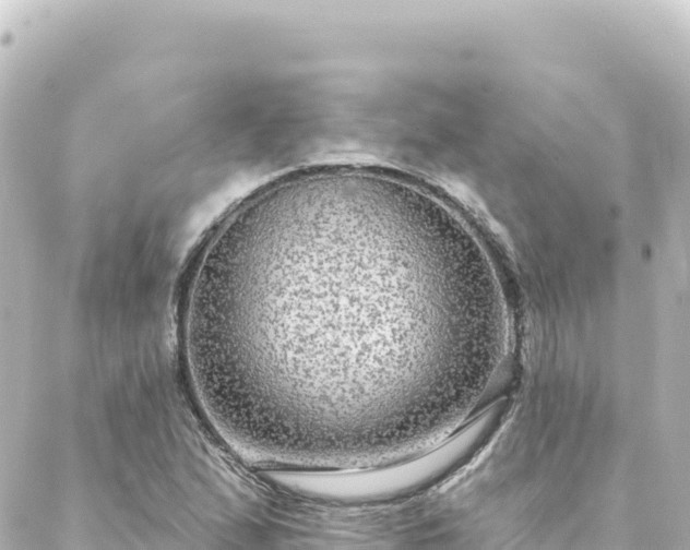 X0000088431167200705291517