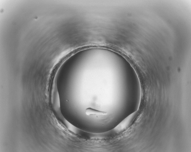 X0000088431168200705291517