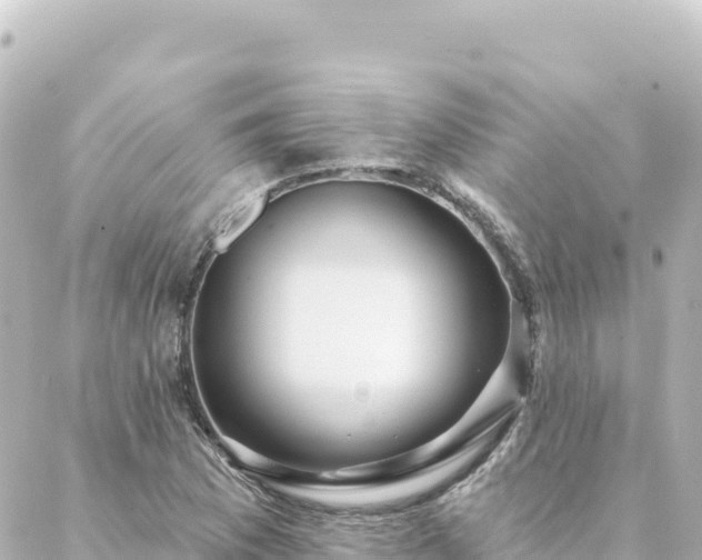 X0000088431169200705291517