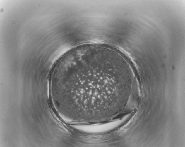 X0000088431171200705291517