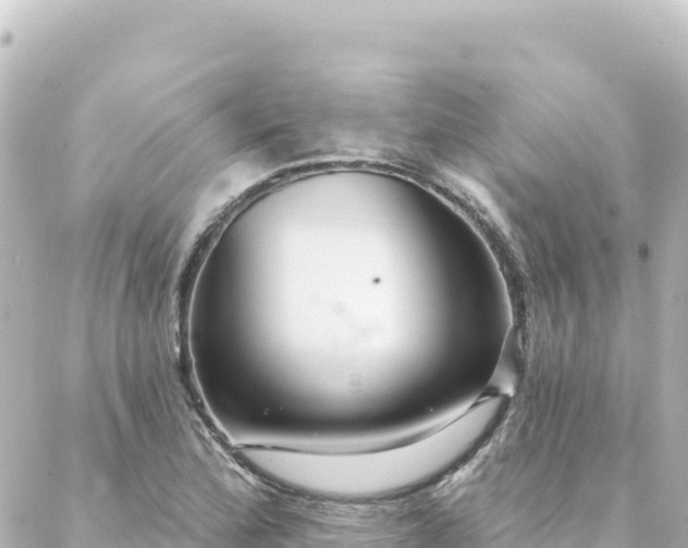 X0000088431172200705291517