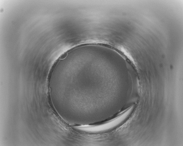 X0000088431173200705291517