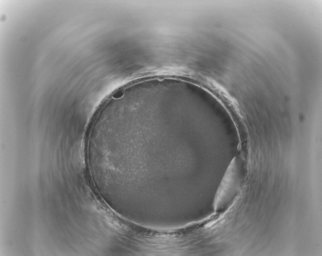 X0000088431174200705291517