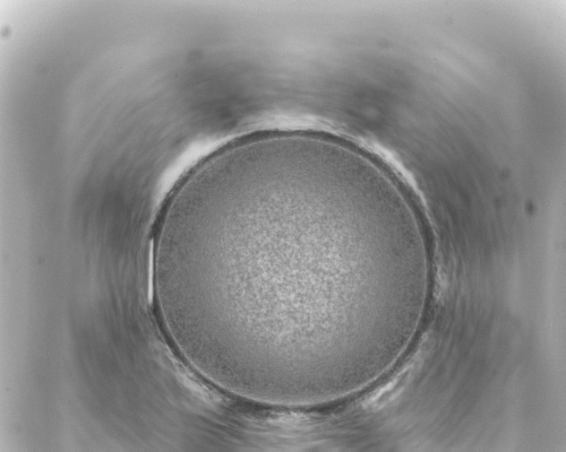 X0000088431175200705291517