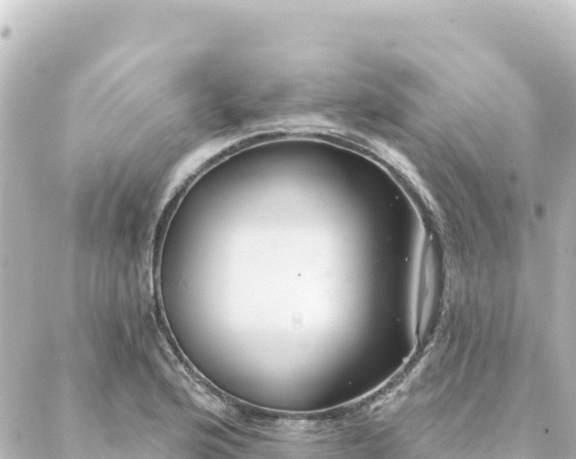 X0000088431176200705291517