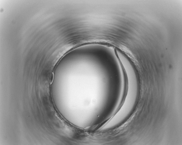 X0000088431177200705291517