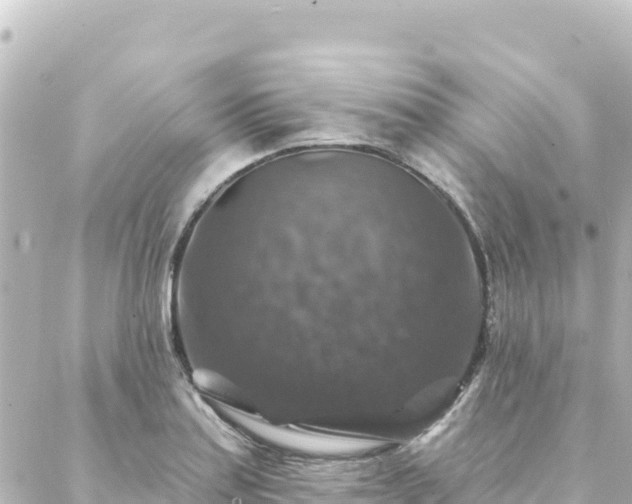 X0000088431179200705291517