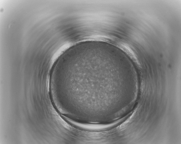 X0000088431180200705291517