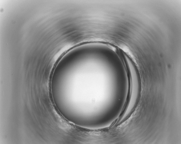 X0000088431181200705291517