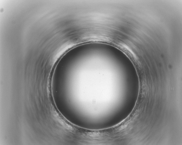 X0000088431182200705291517