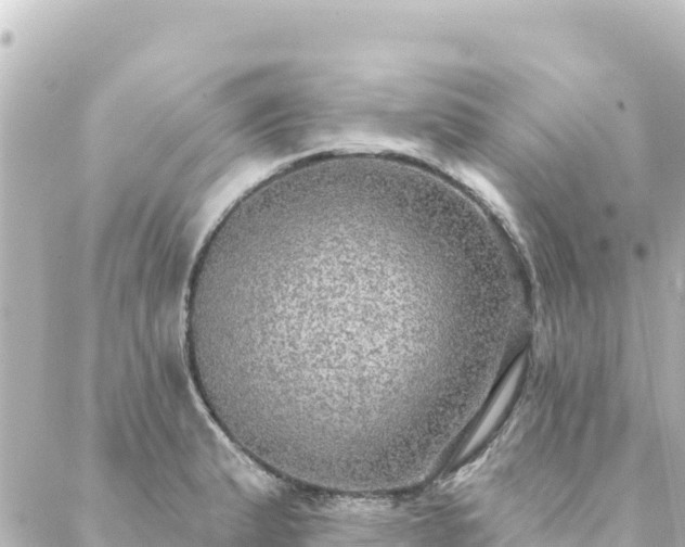 X0000088431183200705291517