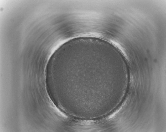 X0000088431184200705291517