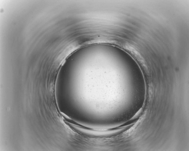 X0000088431185200705291517