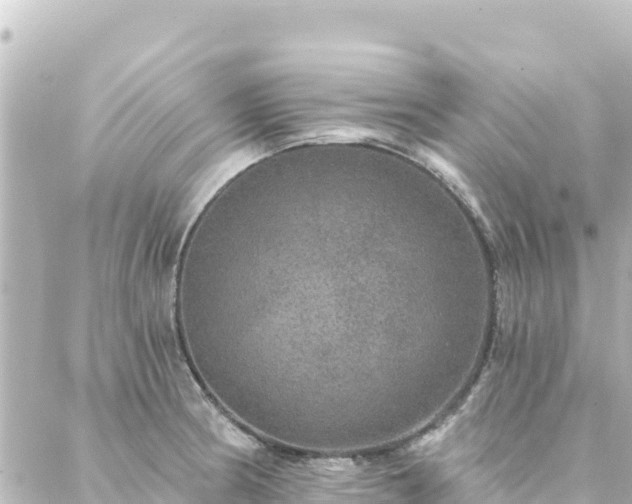 X0000088431186200705291517