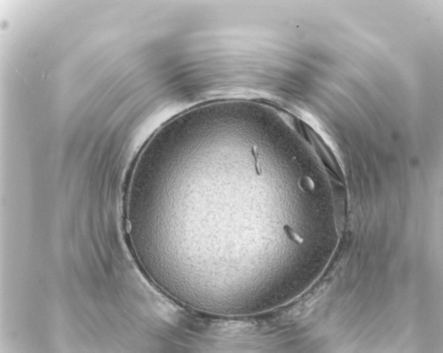 X0000088431187200705291517