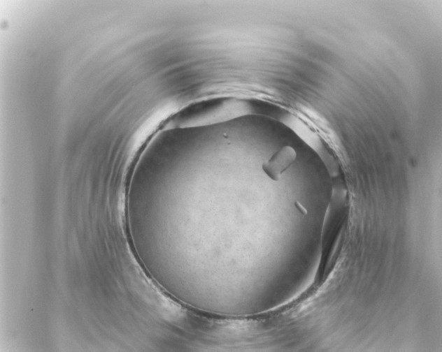 X0000088431188200705291517