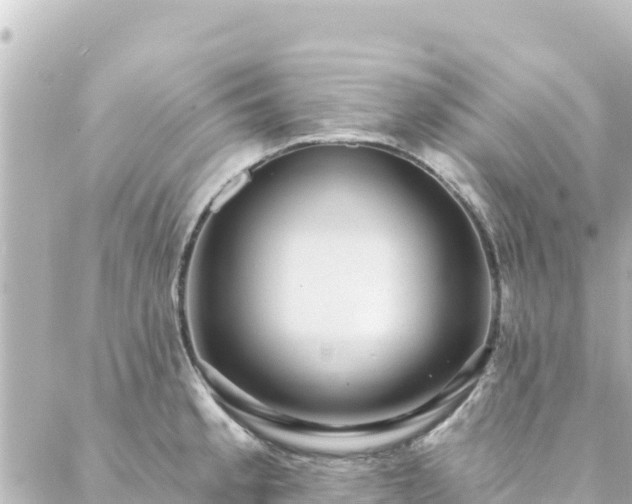 X0000088431189200705291517