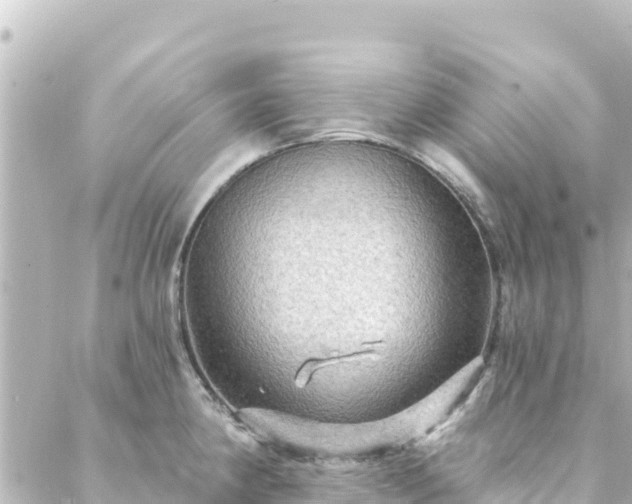 X0000088431190200705291517