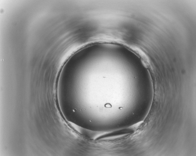 X0000088431191200705291517