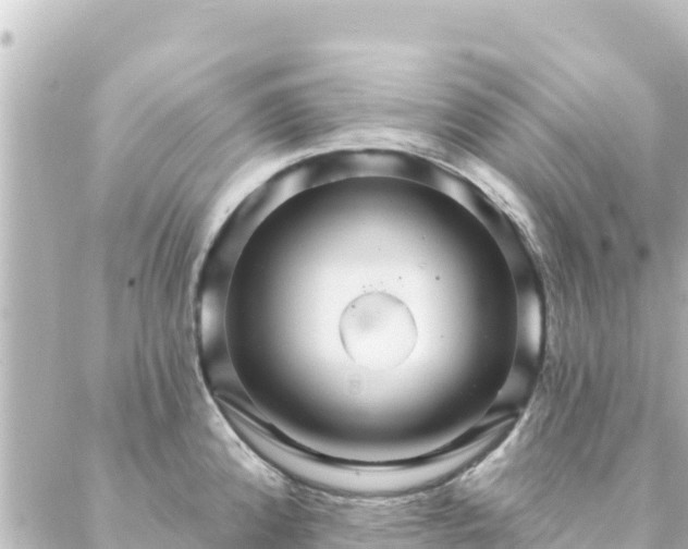 X0000088431192200705291517