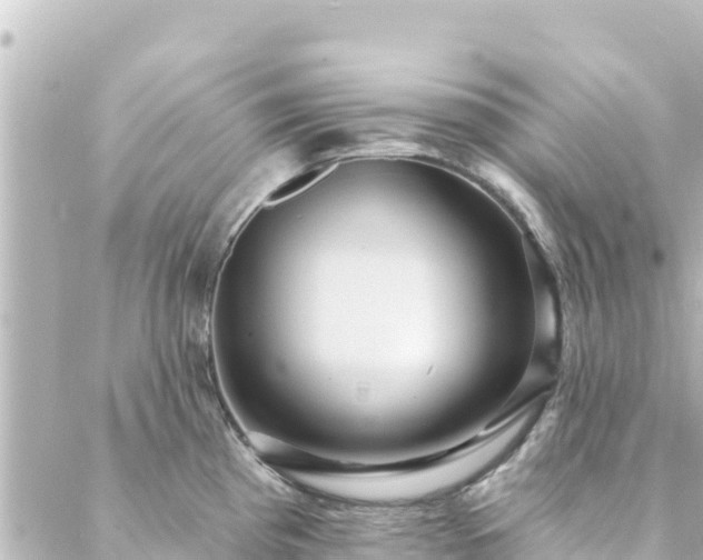 X0000088431193200705291517